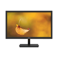 "Dahua Technology LM19-L200 Ecrã para PC 49,5 cm (19.5"") 1600 x 900 Pixeles LED Negro"