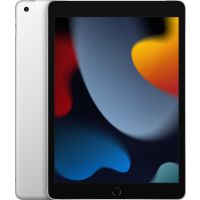 Apple iPad 4G LTE 256 GB 25,9 cm (10.2") Wi-Fi 5 (802.11ac) iPadOS 15 Prateado