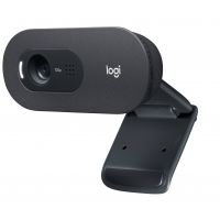 Logitech C505 webcam 1280 x 720 pixels USB Preto