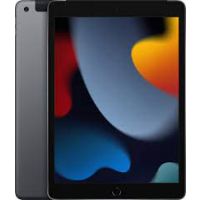 Apple iPad 64 GB 25,9 cm (10.2") Wi-Fi 5 (802.11ac) iPadOS 15 Cinzento 