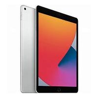 Apple iPad 4G LTE 256 GB 25,9 cm (10.2") Wi-Fi 5 (802.11ac) iPadOS 15 Prateado 